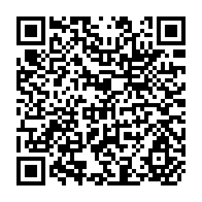 QR Code for Borrower Ownership of Adjustment Programs and The Political Economy of Reform