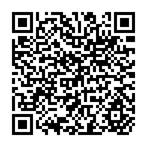 QR Code for Developing Effective Employment Services