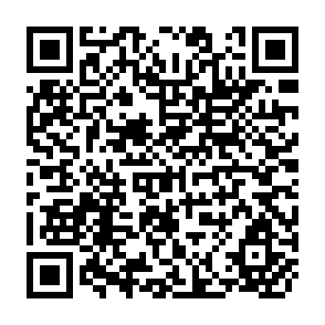 QR Code for From Macroeconomic Correction to Public Sector Reform: The Critical Role of Evaluation