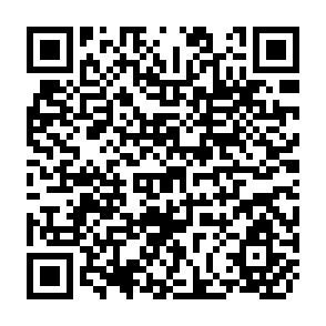QR Code for Managing an Action Programme for Dayland Agriculture