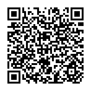 QR Code for Strategies for Poverty Reduction