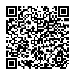 QR Code for The Next Efficiency Revolution:Creating a Sustainable Materials Economy