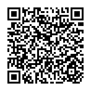 QR Code for Report on the International Seminar on Integrated Rural Development