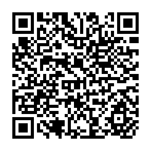 QR Code for Livestock as a Component of Rural Development in Selected Asian Countries