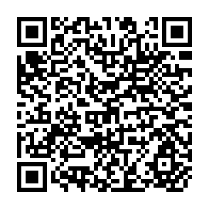 QR Code for Sustainable Development, Environment and Poverty Nexus