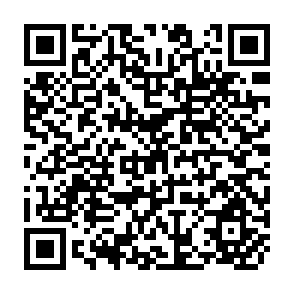 QR Code for Intermediate Services and Economic Development: The Malaysian Example