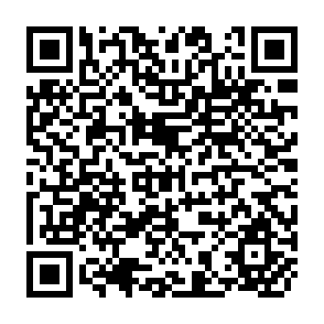 QR Code for Rice Economy