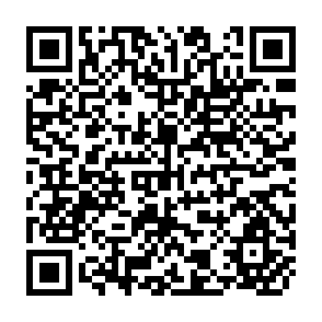 QR Code for Performance Appraisal of Exporting Enterprises