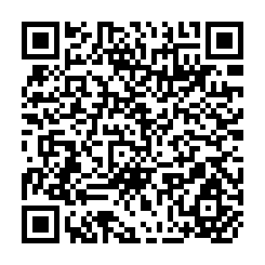 QR Code for Asia-Pacific Tropical Forestry: Ecological Disaster or Sustainable Growth?