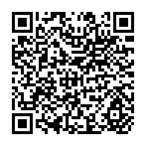 QR Code for An Agricultural and Socio - Economic Survey of South Sudan Refugee Settlements abd Surrounding Areas in Gambela, Awraja, Ethiopia