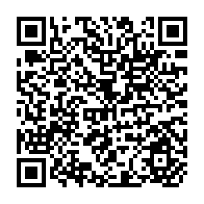 QR Code for Equity and Gender Issues in Health Care Provision: The 1993 World Bank Development Report and its implications for Health Service Recipients