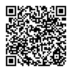 QR Code for Import Support Aid: Experiences from Tanzania and Zambia