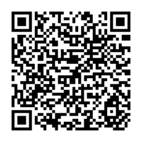 QR Code for The Poor in Asian Development an ILO Programme