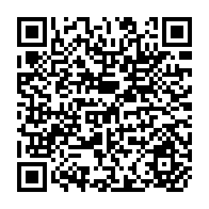 QR Code for Caricom in the Post-Cold War Era: Regional Solutions or Continued Regional Contradictions?