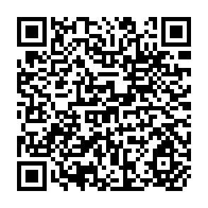 QR Code for What Happens to Welfare When User Fees Finance Health Care? The Impact Gender on Policy Outcomes; Theory and Evidence from Zimbabwe