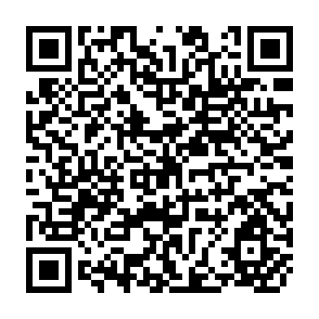 QR Code for The Strengthening of labour administration in Asia and its role in National development with the active participation of employers' and workers' organisations