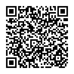 QR Code for The IDRC Bean Research Network