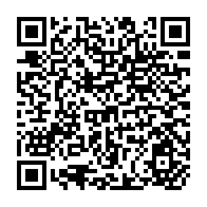 QR Code for 30 Years of Learning