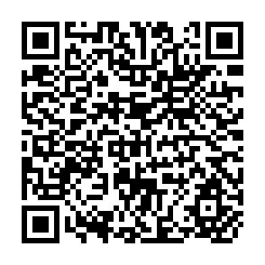 QR Code for Cities Feeding People