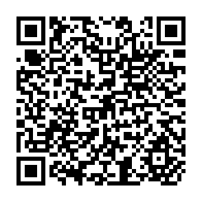 QR Code for Famine as the Outcome of Political Production and Market Failures