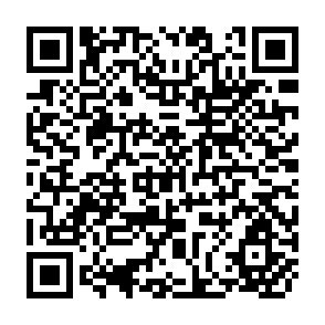 QR Code for The Prevention and Mitigation of Famine: Policy Lessons from Botswana and Sudan