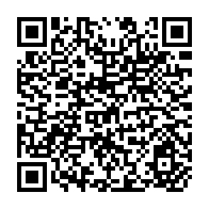 QR Code for Trade and Development Report