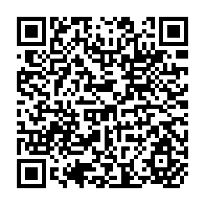 QR Code for Neither market nor state: Governance of common-pool reasources in the twenty- first century