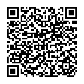 QR Code for Farmer and Community Organisations in Agricultural research and extension: Function, Impacts and Questions