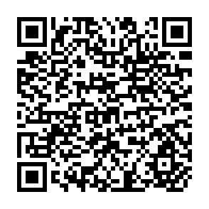 QR Code for The Role of the Private Sector in Agricultural Extension: Economic Analysis and Case Studies
