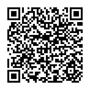 QR Code for Chile's Road to Socialism