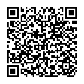 QR Code for Globalization as Hybridization
