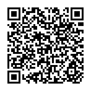 QR Code for The Quality of Aid: Measuring Trends in Donor Performance