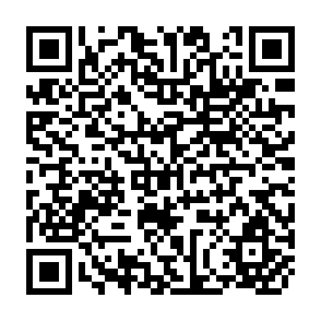QR Code for The  Anti-Narmada Project Movemnt in India