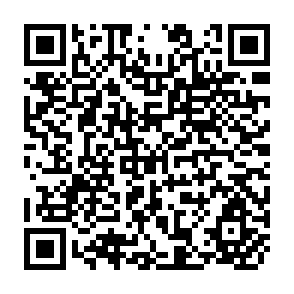 QR Code for Accumulation, Industrialization and the Peasantry: A Reinterpretation of the Tanzanian Experience