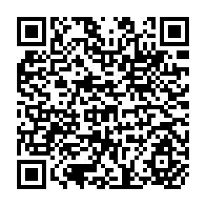 QR Code for Trade Multipliers in a World Accounting Matrix Framework