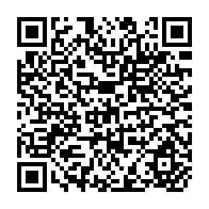 QR Code for Trade and Financial Flows in a World Accounting Framework ( Working Papers)