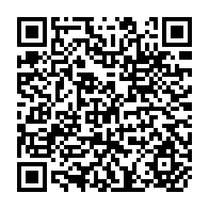QR Code for Transnational Corporations and the Transfer of New and Emerging Technologies to Developing Countries