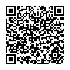 QR Code for The Political Economy Of Communications