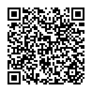 QR Code for Social Indicators of Development 1993