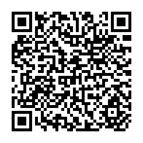 QR Code for Consumer Behaviour