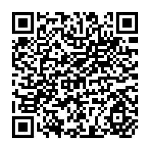 QR Code for The Management of Government