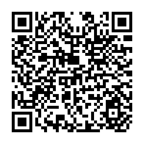 QR Code for Manual For Measurement And Analysis Of Agricultural Productivity