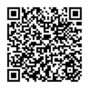 QR Code for The Implications for Social Security of Structural Adjustment Policies
