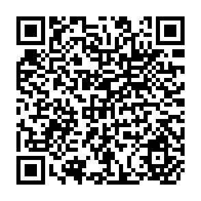 QR Code for Monitoring and Evaluating Social Program in Developing Countries- A Handbook for Policy Makers, Managers and Researchers