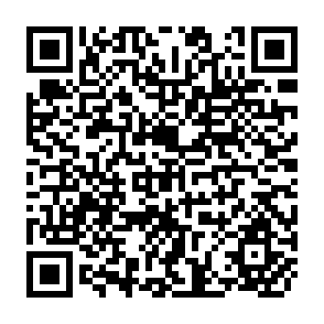 QR Code for Structural Adjustment and Agriculture- Theory and Practice in Africa and Latin America