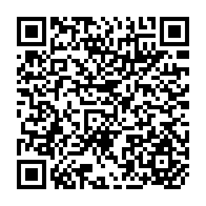QR Code for Partners in Evaluation