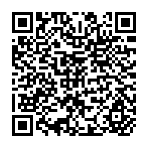 QR Code for An International Approach to Biotechnology Safety
