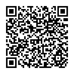 QR Code for The Economics of Small- Appropriate Technology in a Changing World