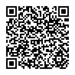 QR Code for The Economics of Small- Appropriate Technology in a Changing World