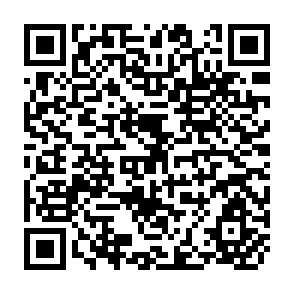 QR Code for The Economics of Small- Appropriate Technology in a Changing World